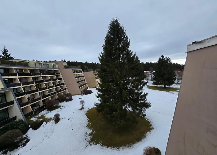 Urlaub Im Bayerischen Wald Mit Schwimmpool